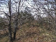 nte Cagliato-20110220 023